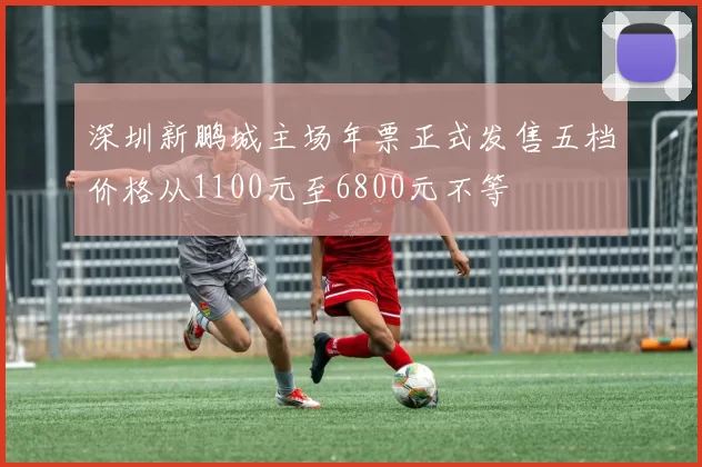 深圳新鹏城主场年票正式发售五档价格从1100元至6800元不等