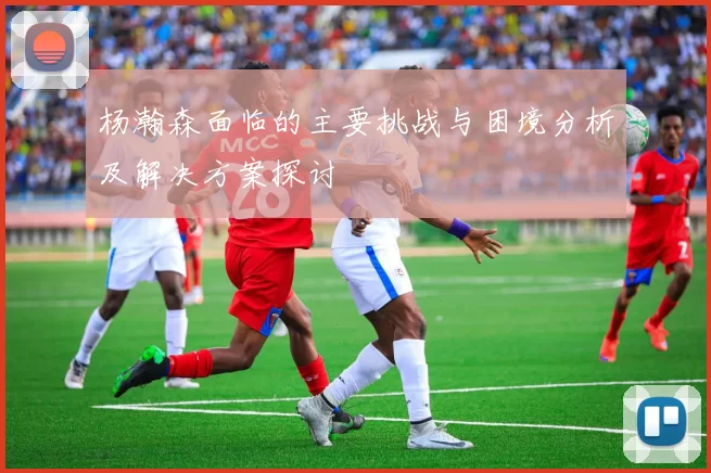 杨瀚森面临的主要挑战与困境分析及解决方案探讨