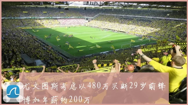 尤文图斯考虑以480万买断29岁前锋博加年薪约200万