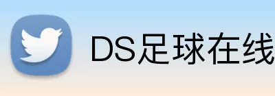 DS足球在线 Logo